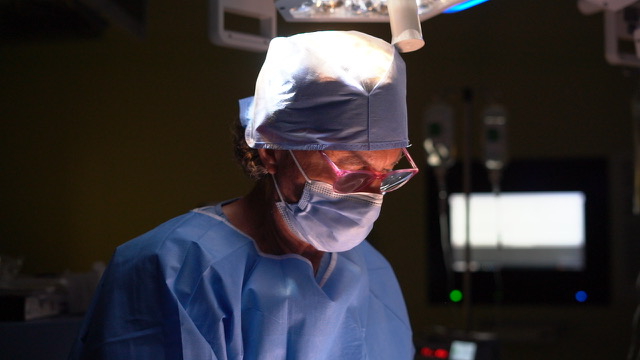 Prof. Dr. Luis Gavin